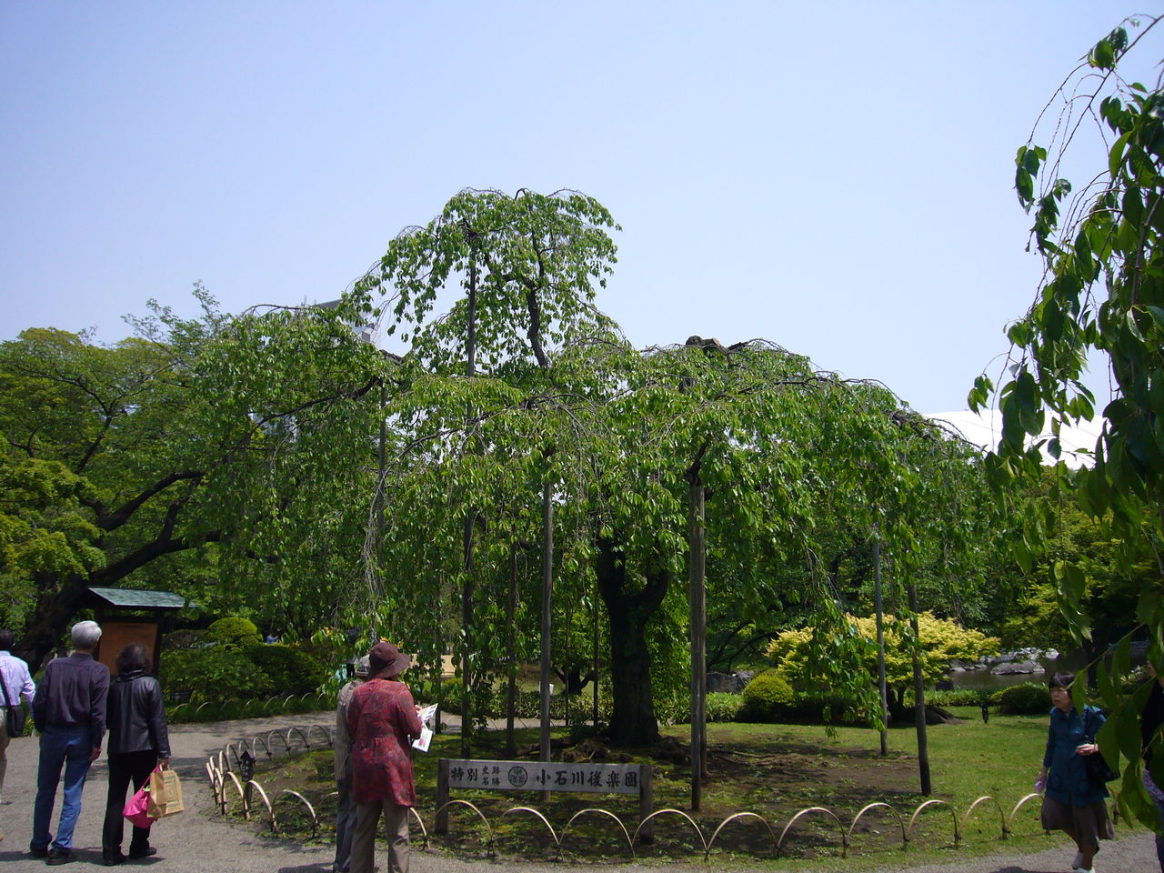 P1080334