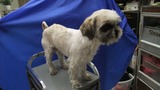 DSCF2567
