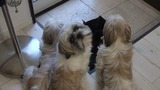 DSCF2561