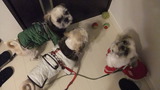 DSCF2589