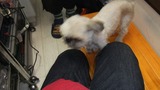 DSCF2573