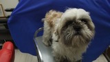 DSCF2566