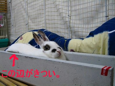 でもぎゅうぎゅう
