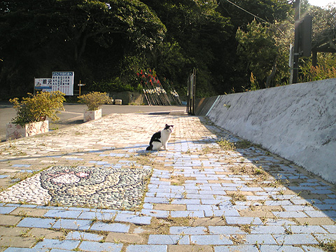 yokatta_20_6