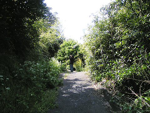 yokatta_20_3