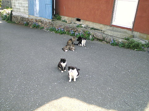 yokatta_20_5