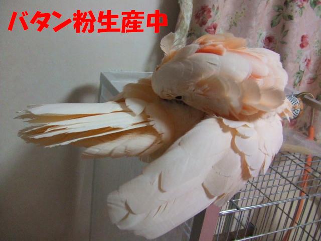 a4ba8fda.jpg