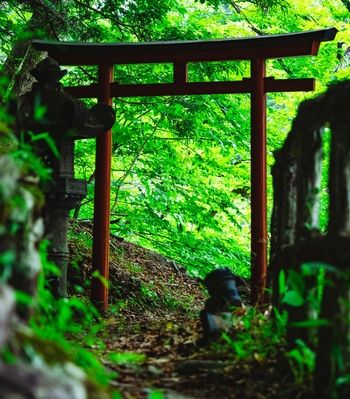 寂れた鳥居