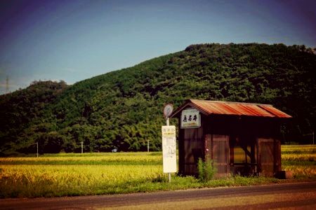 異世界の女と出会った話