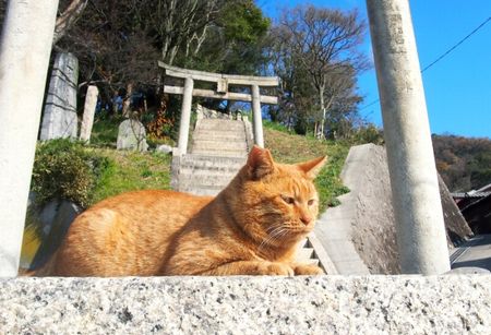 イタズラ好きなおちゃめな神様