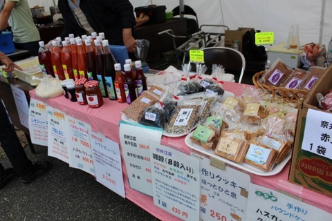 IMG_1766 (640x427)