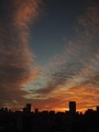 DSCN1426