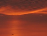 DSCN1454