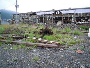 DSCN0448