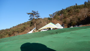 DSCN3549