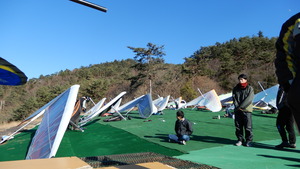 DSCN3521