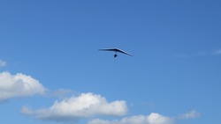8f88579b.jpg