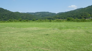 P1040104