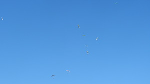 DSCN3547
