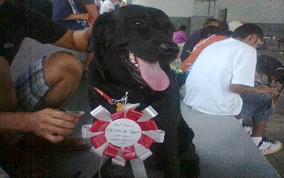 Photo0317