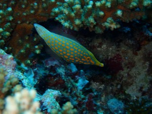 P8310021
