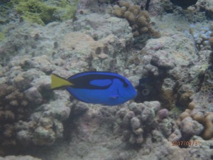 P1310140