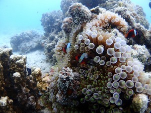 IMG_20180924_142723