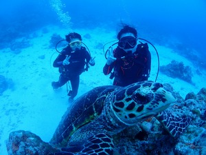 IMG_20180927_172022