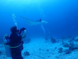 IMG_20180722_163501