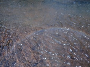 P8250383