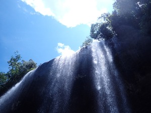 P8250399