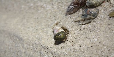 IMG_5562