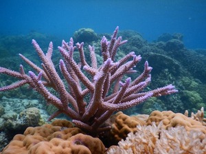 DSCN3333