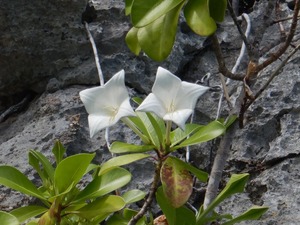 DSCN3485