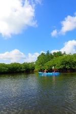 P8300028