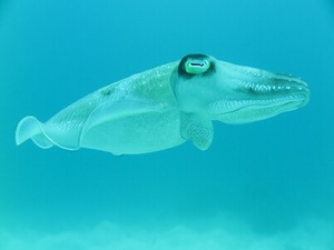 IMG_6659