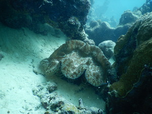 DSCN1549