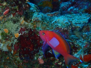 P8310041
