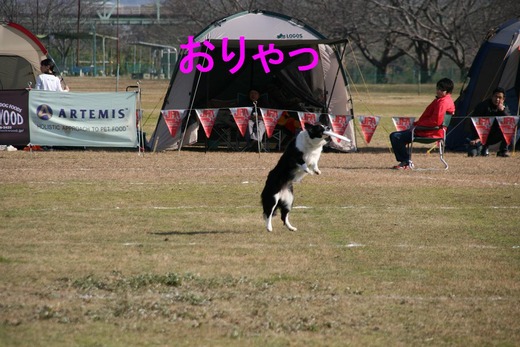 12月19日 (4)