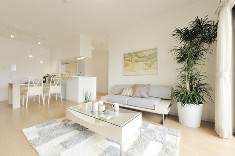 room706-8916