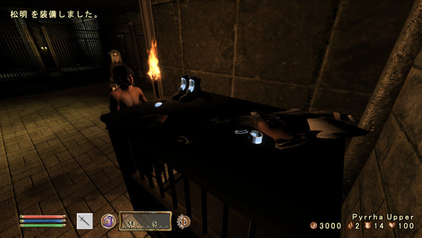 Oblivion 2012-04-14 20-15-58-98