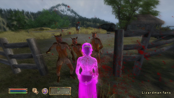 Oblivion 2012-04-14 19-36-03-82