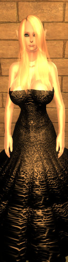 Oblivion 2012-03-23 19-14-00-46