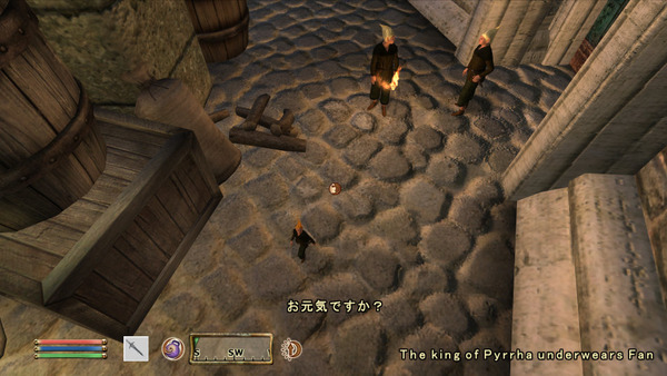Oblivion 2012-04-14 20-02-40-37