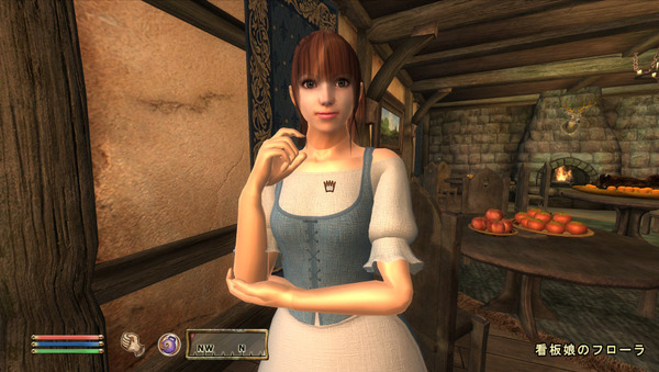 Oblivion 2011-05-23 13-05-42-73