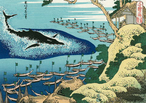 【韓国の反応】日本、国際捕鯨委員会から脱退へ