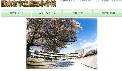 _Yn7PvNusji0JSa1533370176_1533370424