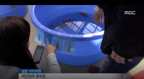 ダウンロード (3) (1)
