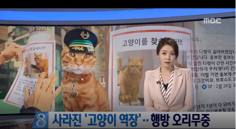 다운로드 (1) (1)