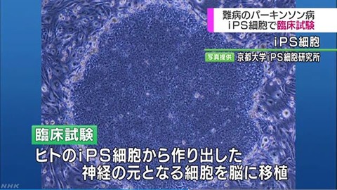 2TK89m1zJsM2gGO1513843337_1513843543 (1) (1)
